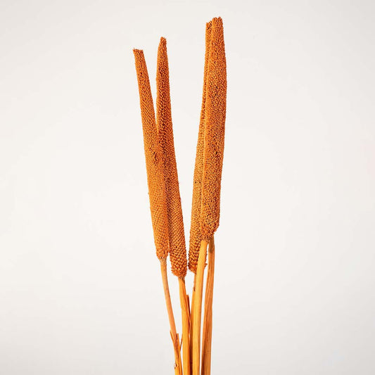 Babla Grass Set of 5 - Orange