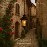 Black Villa Outdoor Pendant Light