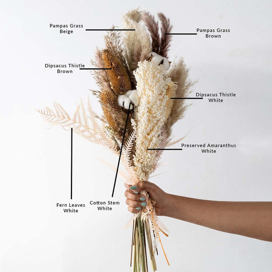 Rustic dried flower bouquet with pampas grass cotton stems preserved amaranthus and fern leaves tied with pink ribbon on plain White background.