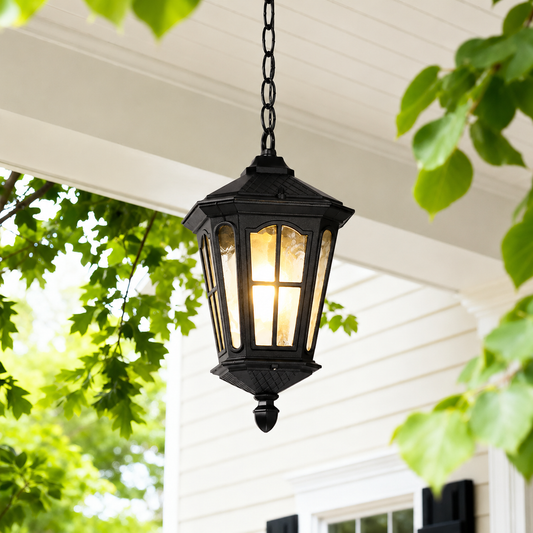 Century Outdoor Hang Light - Black