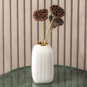 Dried Lotus Pods Set of 3