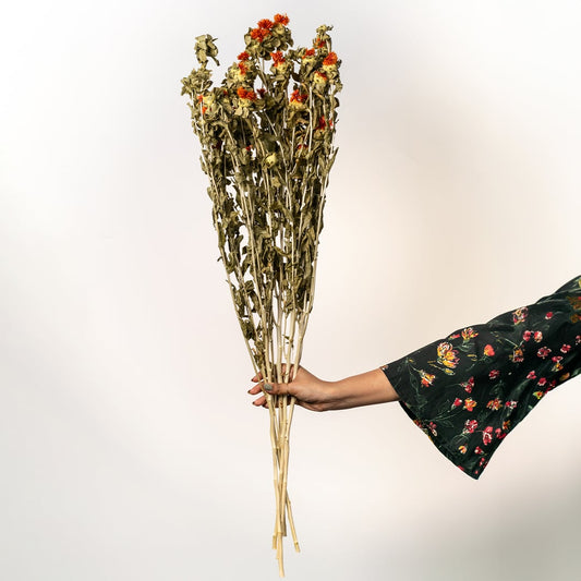 Green ceramic vase with gold detailing and dried orange flowers set against a white background enhancing its glossy vibrant appearance for dramatic decor styling.