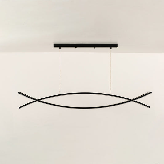 Dual Curve Linear Light