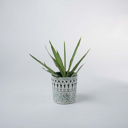 White and teal ceramic planter with geometric pattern styled in a soft minimal setup adding modern charm to home decor.