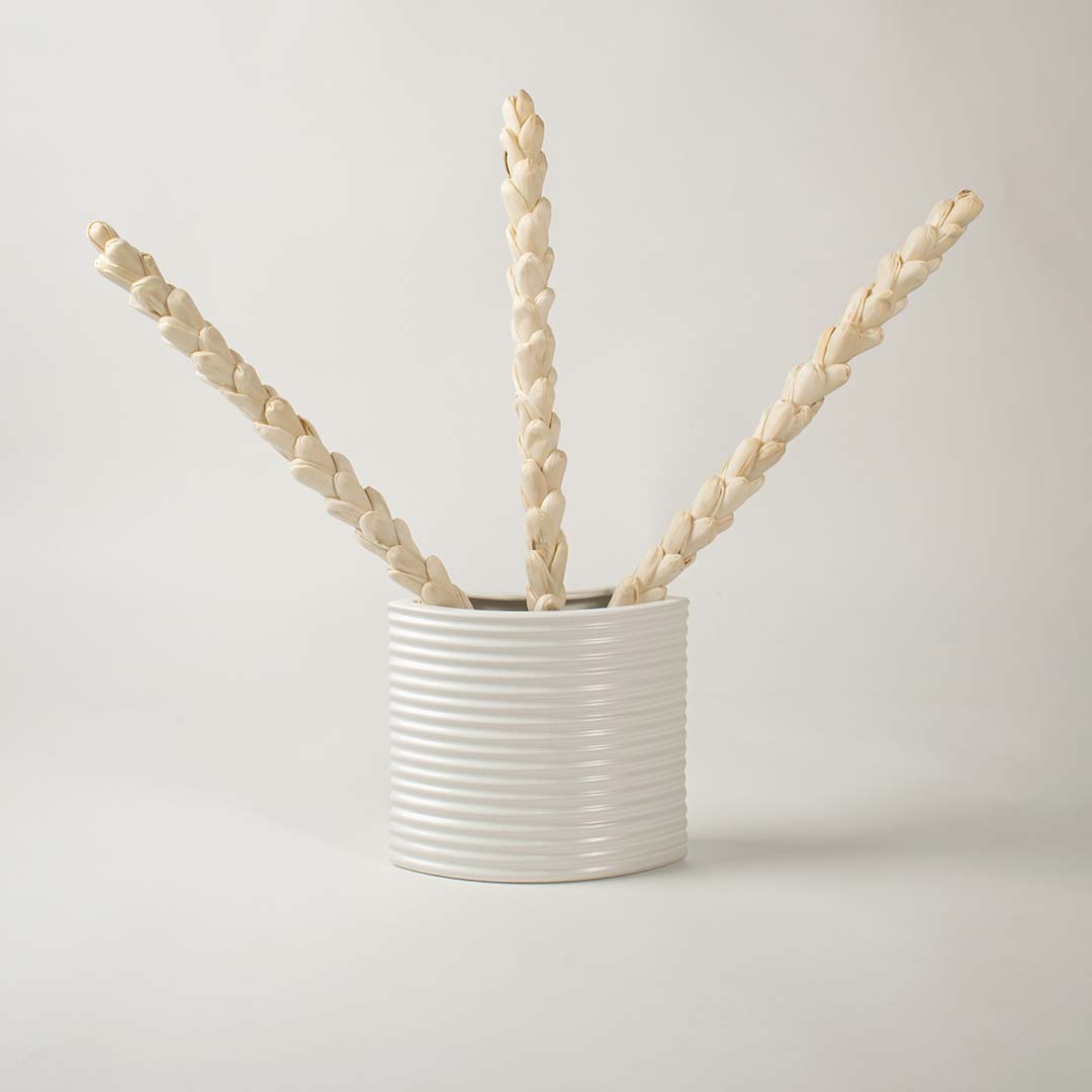 White ribbed ceramic planter placed in a stylish interior perfect for living rooms hallways and modern decorative arrangements.