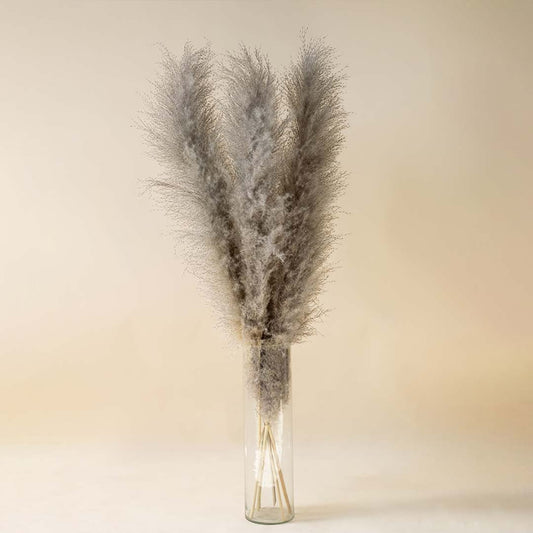 Tall pampas grass arrangement in clear glass vase