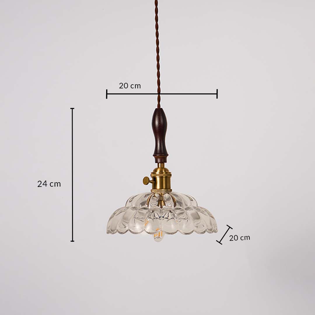 Clear scalloped glass and brass pendant light dimension image with 20 cm width and 24 cm height for elegant dining placement.