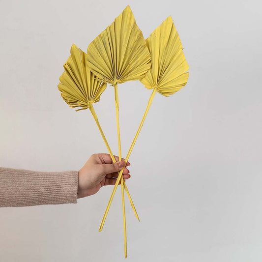 Palm Spear Happy Yellow Set of 3 - Medium