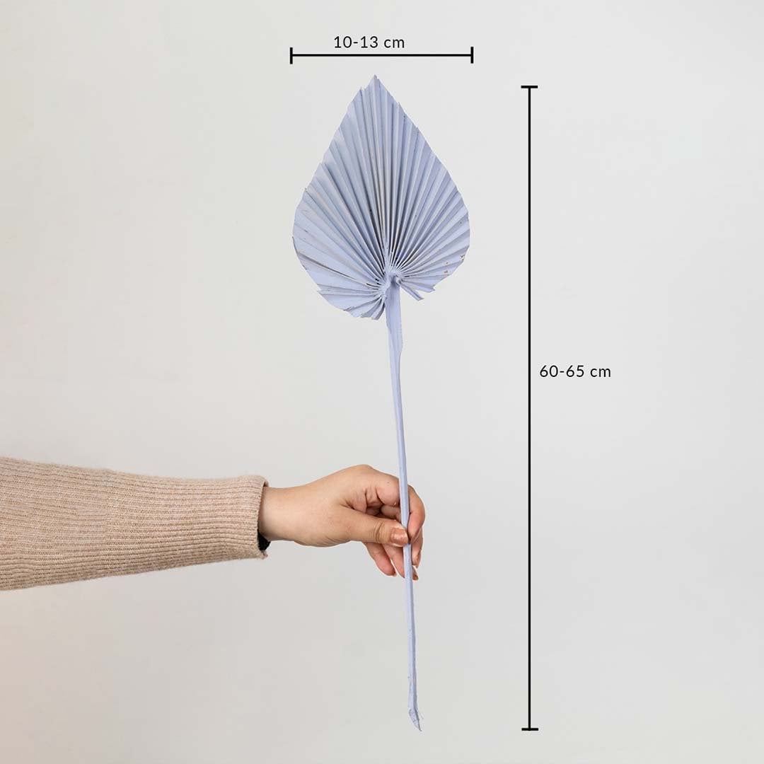 Light purple dried palm leaf shown with size dimensions 60 to 65 cm height and 10 to 13 cm width for vase decoration.