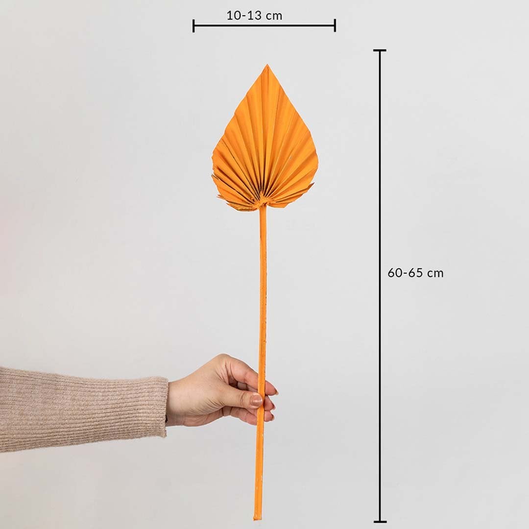 Orange dried palm leaf shown with size dimensions 60 to 65 cm height and 10 to 13 cm width for vase decor.