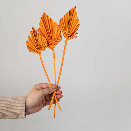 Palm Spear Orange Sunshine Set of 3 - Small