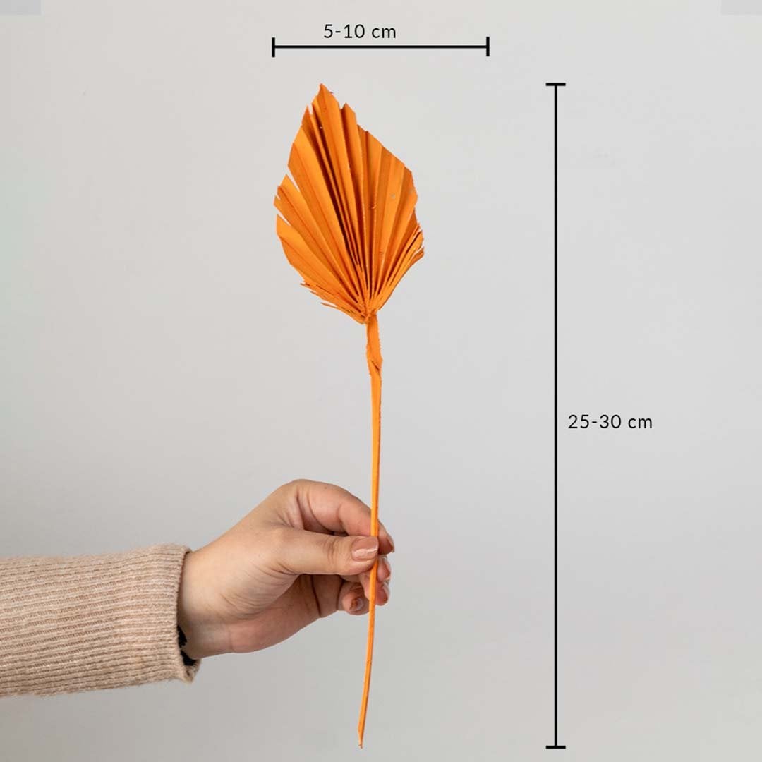 Orange dried palm leaf shown with size dimensions 25 to 30 cm height and 5 to 10 cm width for vase decor.