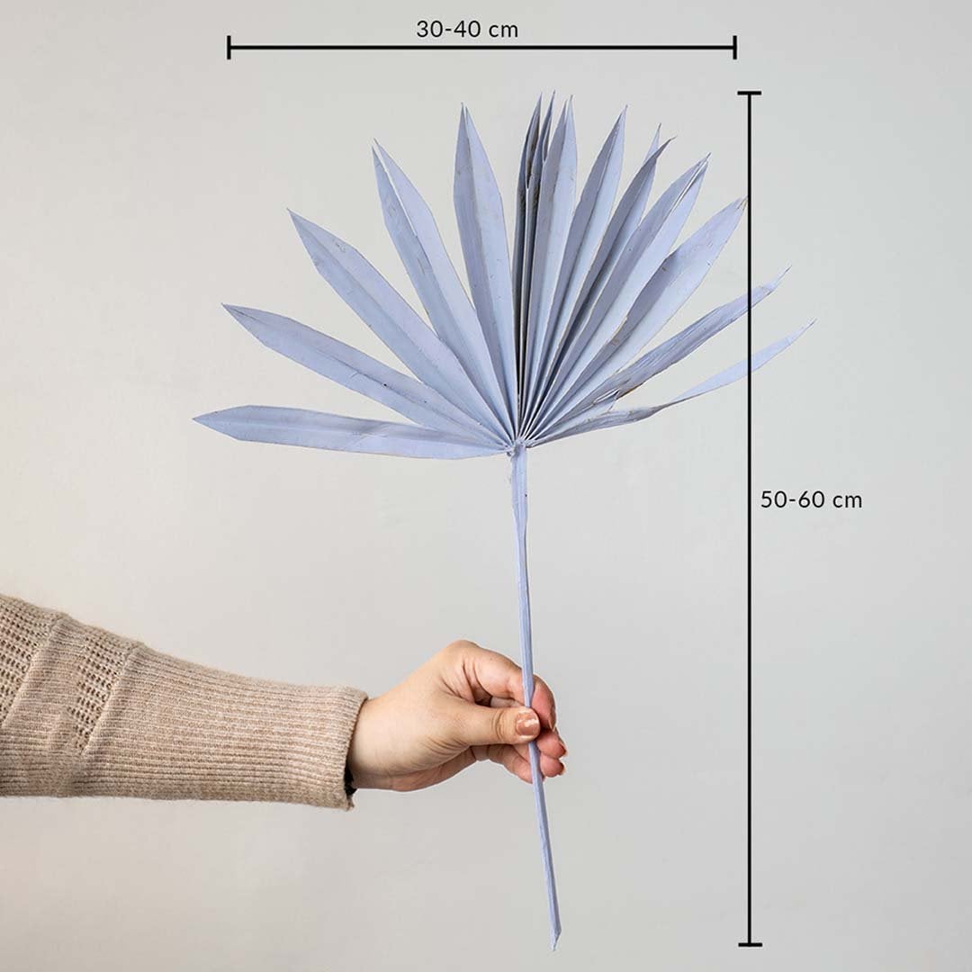 Light purple dried palm leaf shown with size dimensions 50 to 60 cm height and 30 to 40 cm width for vase decor.