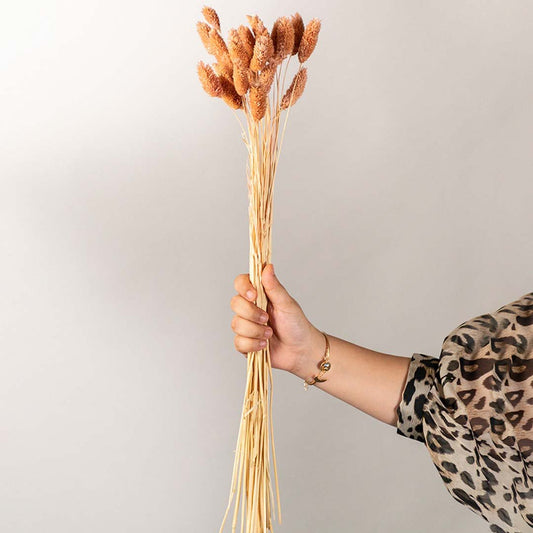 Hand holding warm orange dyed dried bunny tails grass stems bundle for cozy seasonal autumn tabletop vase styling.