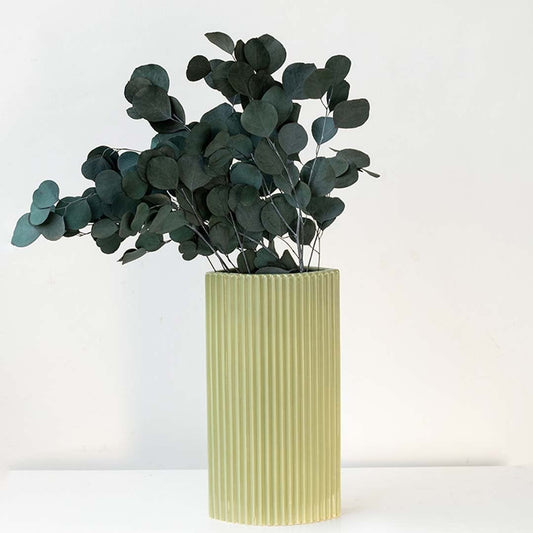 Dark green dried eucalyptus stems displayed on a clean white background ideal for natural modern home decor styling.