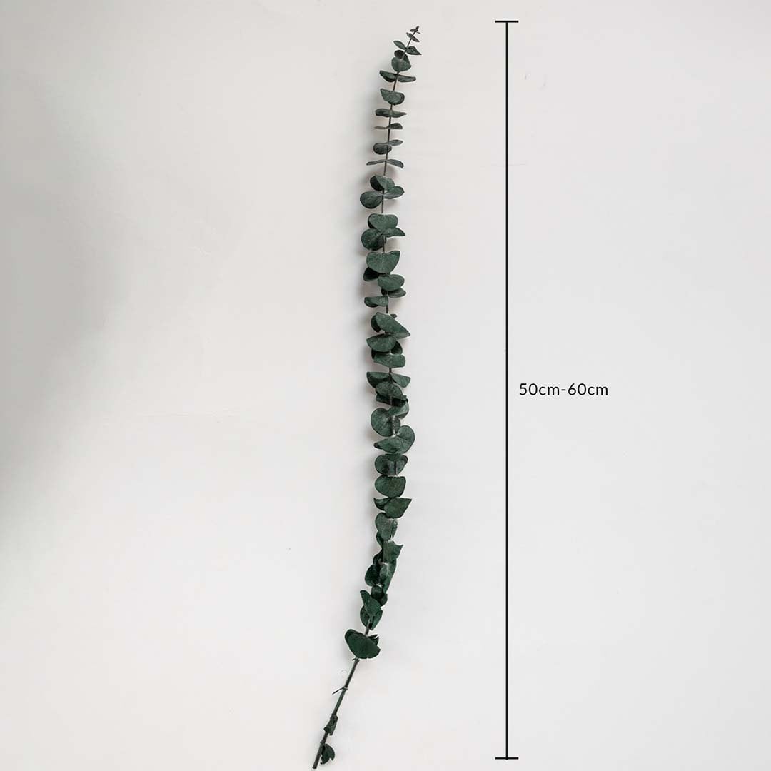 Preserved Eucalyptus Grass Dimension