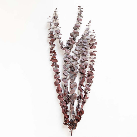 Frosted purple dried eucalyptus stems bundle isolated on white background for seasonal floral vase decor.