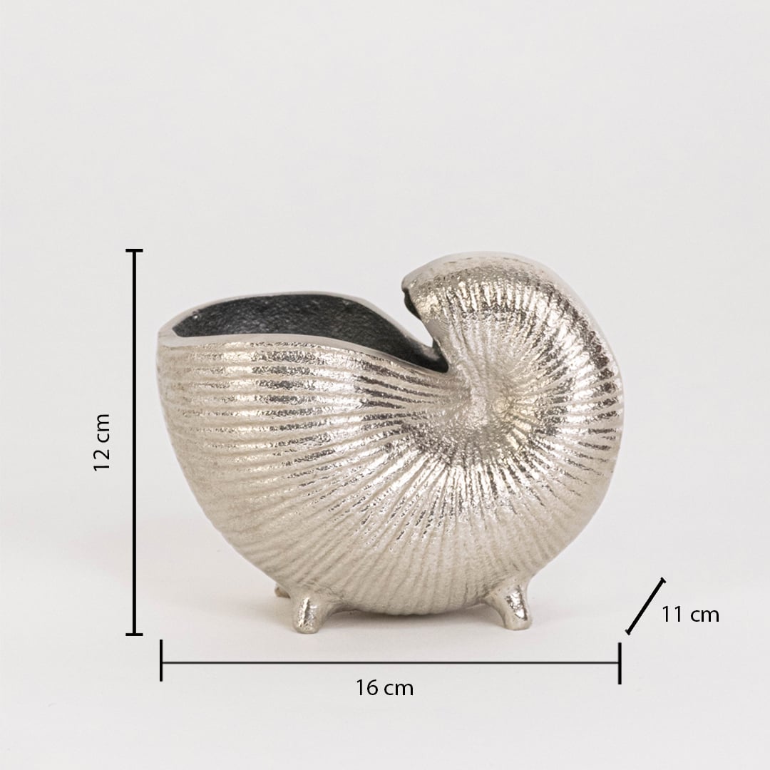 Silver nautilus shell bowl shown on a white background with dimensions displaying 12 cm height 16 cm width and 11 cm depth