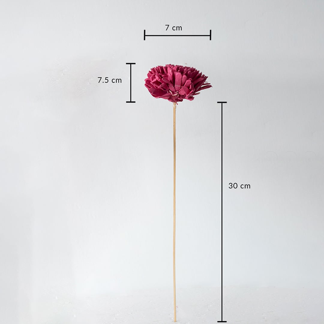Pink sola flower stick dimensions 30 cm stem with 7 cm bloom is an artificial decorative flower for DIY floral projects.