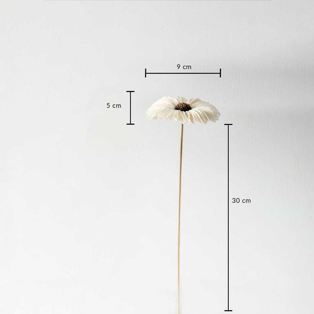 Decorative flower vase size dimensions – 30 cm height flower with 9 cm diameter bloom and 5 cm depth.