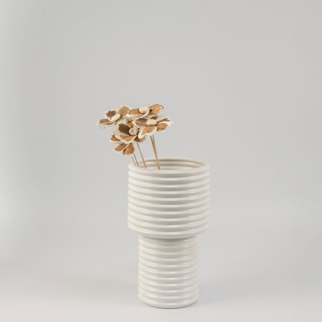 Elegant dried sola wood flower stem placed in glass vase for rustic modern home styling and eco friendly decoration.