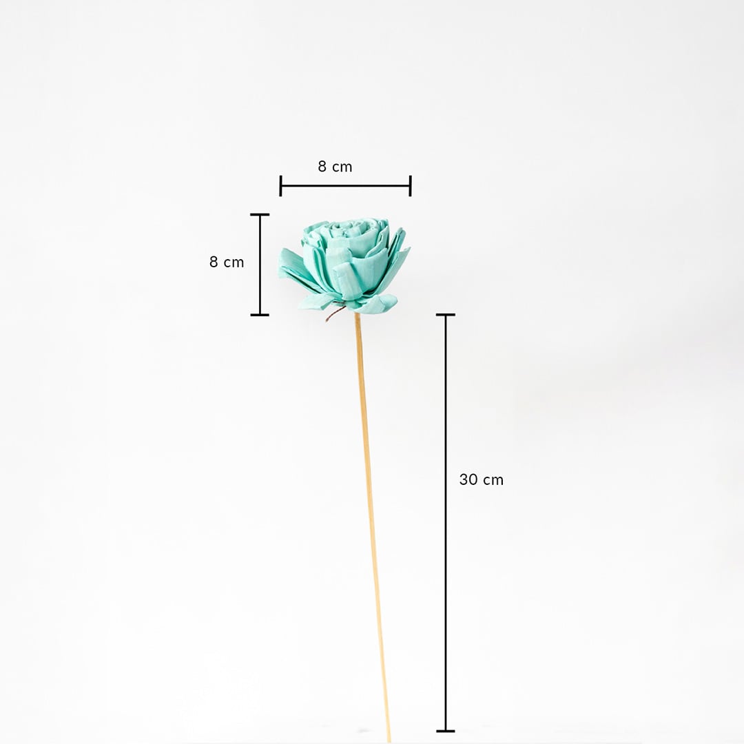 Blue dried flower stem with 30 cm height and 8 cm width shown on white background with measurement dimensions.