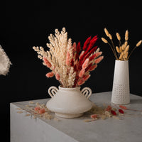 Dried Botanicals