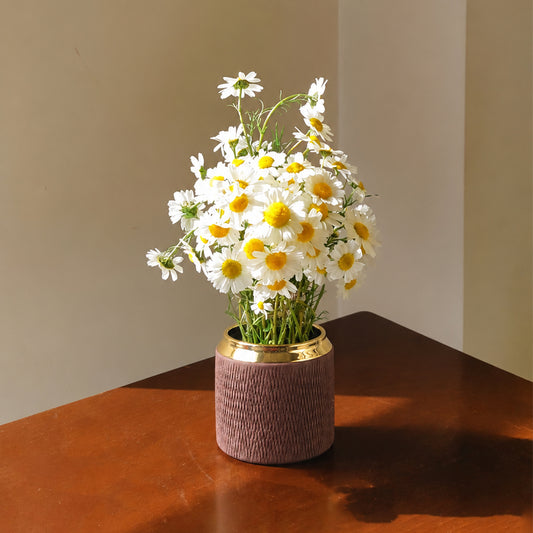 A vase filled with white daisies featuring yellow centers, placed on a polished brown wooden table against a neutral beige background.
