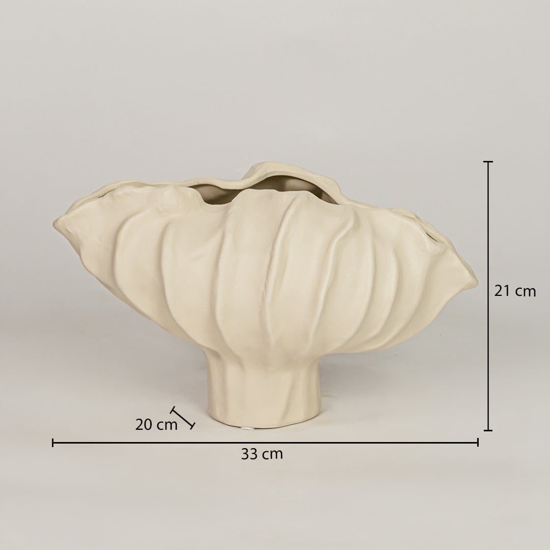 coral mollusk ceramic bowl off white dimensions