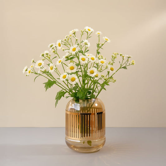 Glass vase with white daisy flowers styled on table creating fresh natural look and soft elegant accent for home Decor.