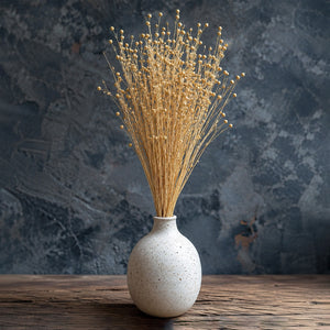 Dried Natural Lino Flower