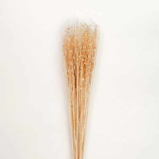 Dried Natural Lino Flower