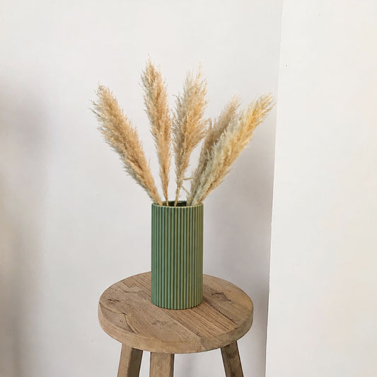 Medium Pampas Grass - Beige