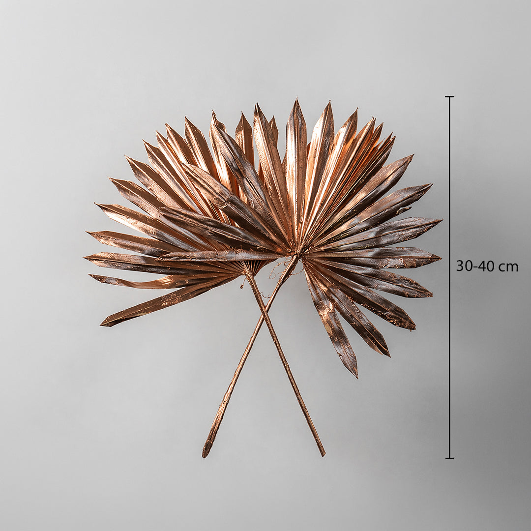Two rose gold metallic painted dried palm sun fan leaves showing a thirty to forty centimeter height on white backdrop.