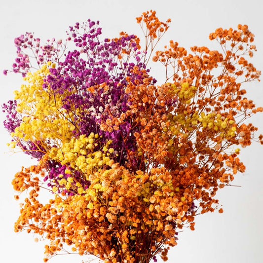 Closeup view of multicolor preserved babys breath bouquet showing orange yellow and purple florals with natural stems and rich texture.