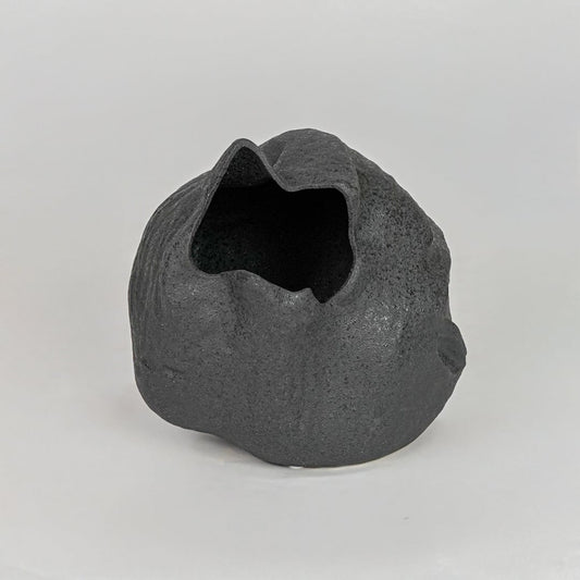 Modern black decorative flower vase isolated clean background stylish ceramic vase for table shelf decor use.