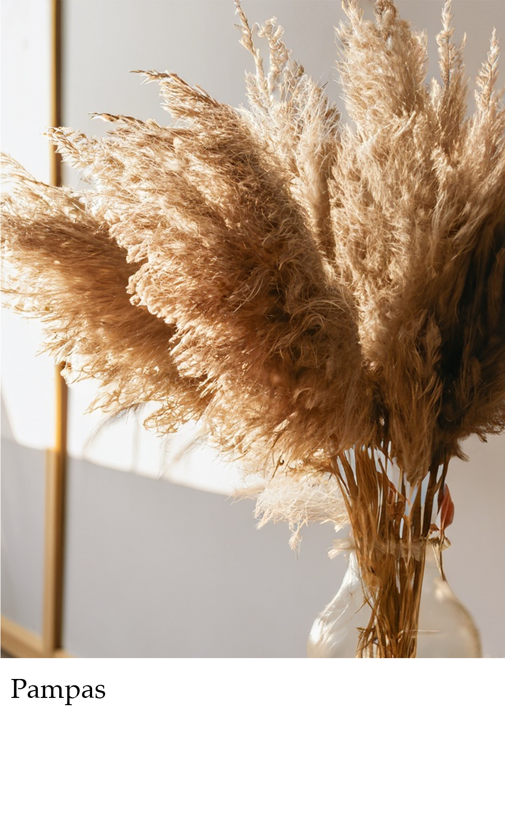 Whispering Homes Shop Luxury Home Decor Items Online India