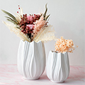 Vases