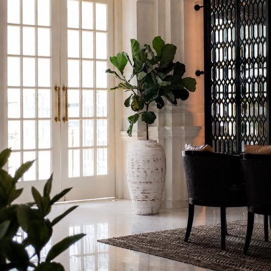 How to Achieve Virat Kohli's Nature-Inspired Holiday Home Look