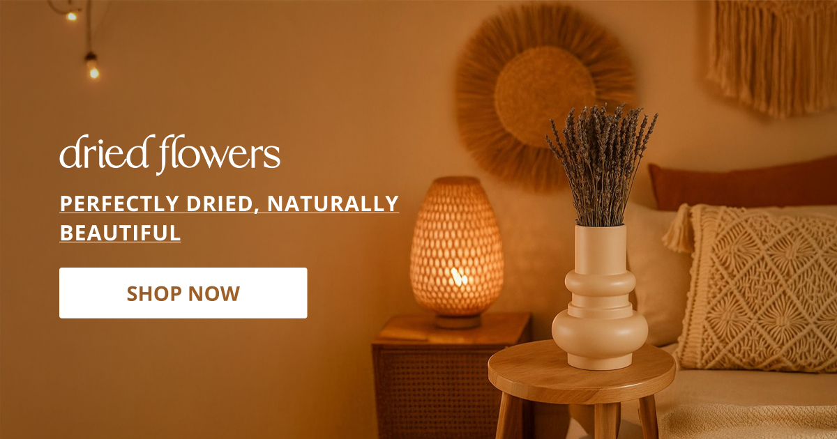 Dried flowers for decoration with natural stems perfect for vase styling table decor and aesthetic home interior.