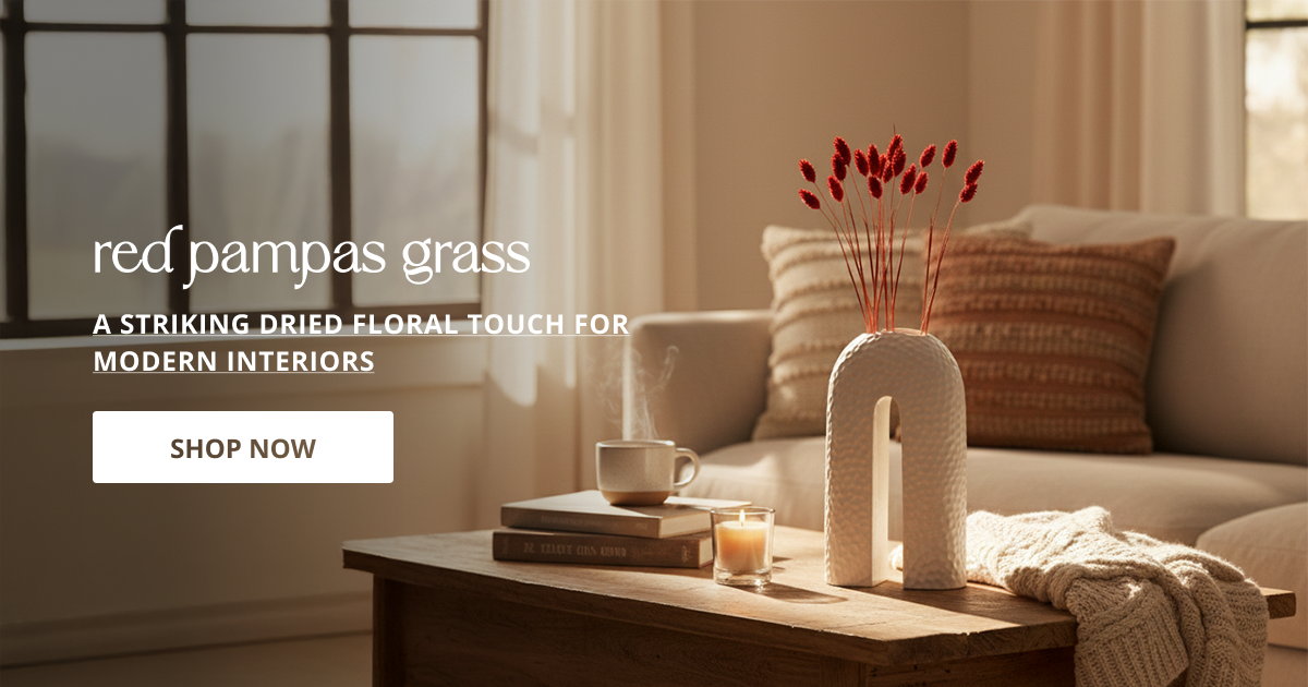 Red dried pampas grass with soft decorative texture perfect for vase styling table decor and aesthetic home interior.