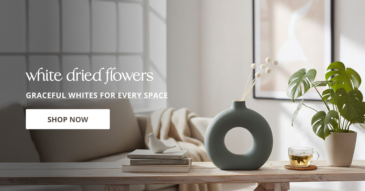 White dried flowers with soft natural stems perfect for vase decor table styling and modern home interior.