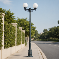 Classic black metal double head globe street lamp post light on sidewalk curb next to residential road driveway entryway.