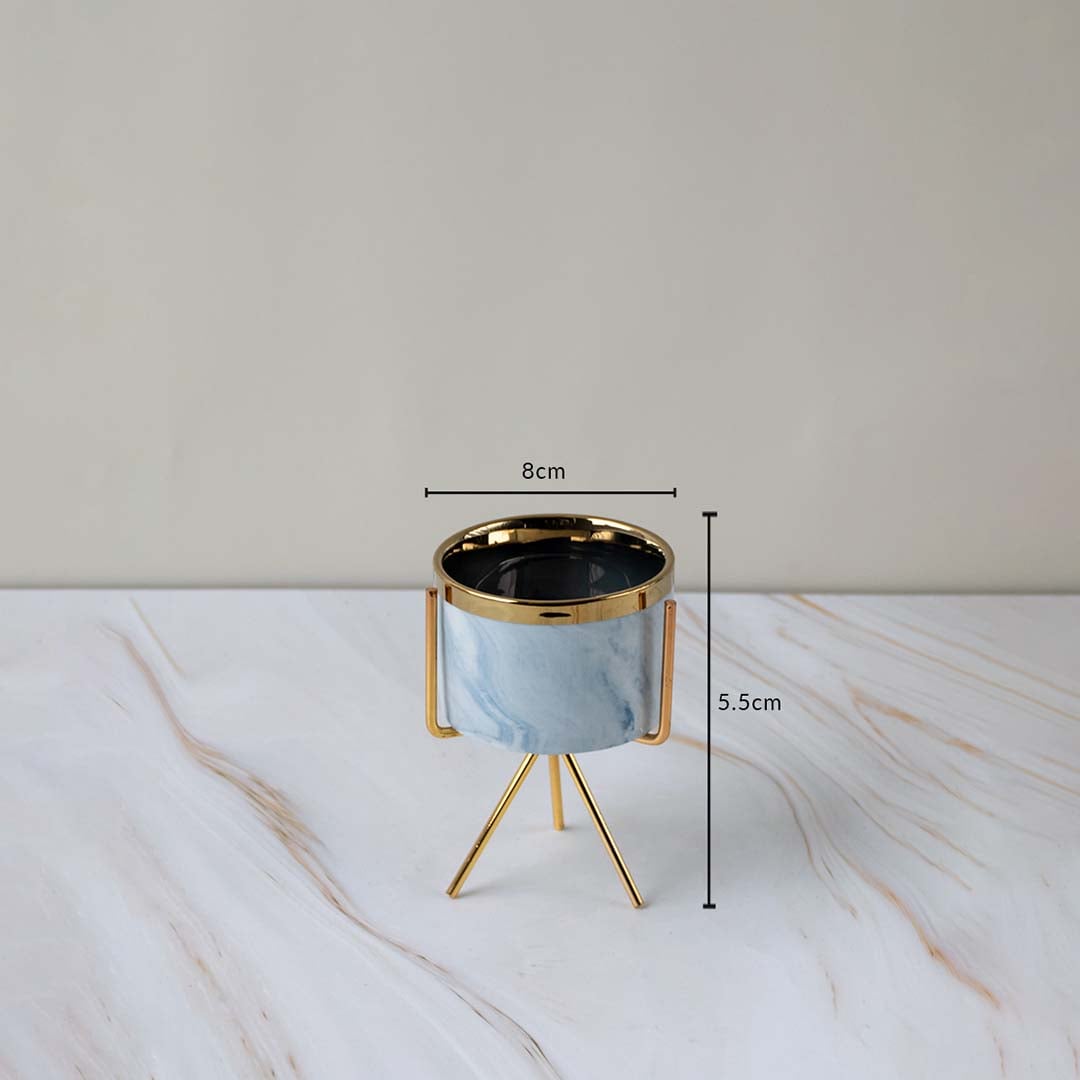 A compact marble finish planter on a gold metal stand featured with clear measurements showing 8 cm width and 5.5 cm height for reference.