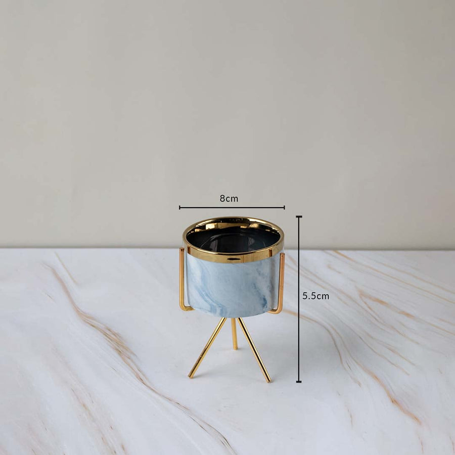 A compact marble finish planter on a gold metal stand featured with clear measurements showing 8 cm width and 5.5 cm height for reference.