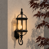 Traditional black metal elongated arched cage glass wall lantern on beige stucco facade for elegant backyard patio lighting.