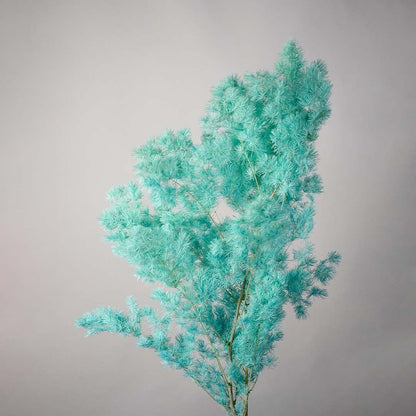 Closeup of turquoise preserved foliage bouquet natural dried stems lifestyle decor on soft light background.