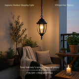 Augusta Outdoor Hanging Light - Small