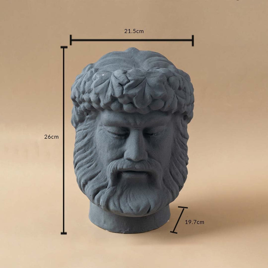 Grey sculpted head vase shown in a detailed closeup view highlighting textured facial features artistic contours and sculptural décor suitable for modern creative and luxury interior styling.