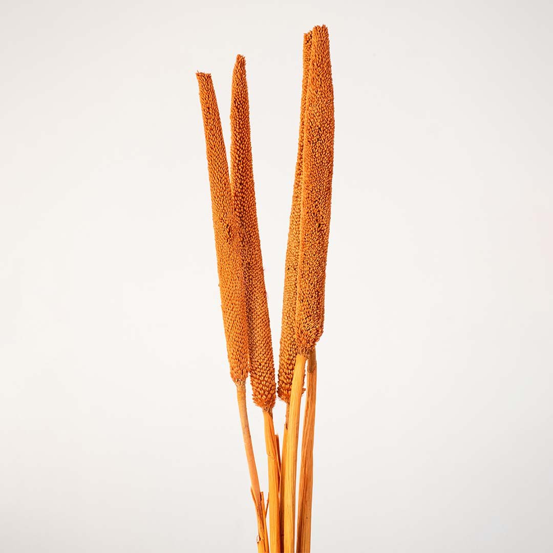 Babla Grass Set of 5 - Orange